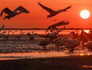 北京公司公司注册后没有经营怎么办