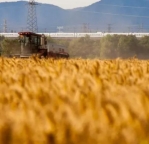 北京公司经营管理查账征收的方式是什么