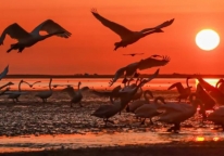 北京总公司和分公司是否可以签合同