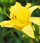 北京公司破产流程是否可以撤回