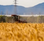 北京公司破产房东投资怎么办