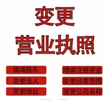 2025最新股权手续,股权变更能在网上办吗