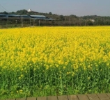 北京2026年公司小规模公司注销流程是什么