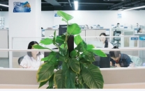 北京公司什么是代理记账纳税调整