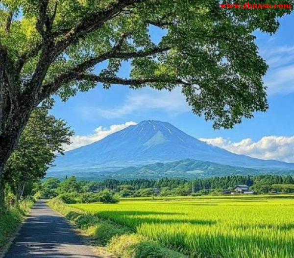 企业年度汇算清缴做账实操全攻略 企业年度汇算清缴做账实操全攻略